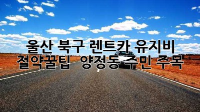 울산 북구 렌트카 유지비 절약꿀팁 🚗 양정동 주민 주목!