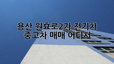 용산 원효로2가 전기차 중고차 매매, 어디서?