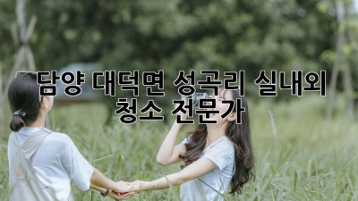 담양 대덕면 성곡리 실내외 청소 전문가